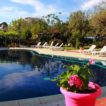 Dimitra Sun Hotell 3*