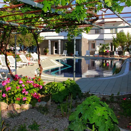 Dimitra Sun Hotell 3*