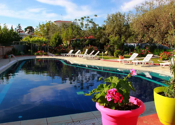 Dimitra Sun Hotell 3*